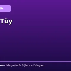 Taş ve Tüy