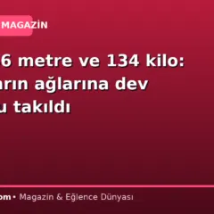 Tam 2,46 metre ve 134 kilo: Balıkçıların ağlarına dev uskumru takıldı