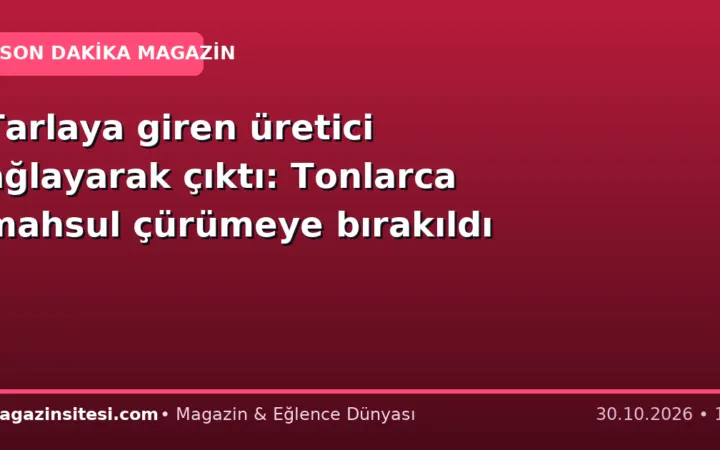 Tarlaya giren üretici ağlayarak çıktı: Tonlarca mahsul çürümeye bırakıldı