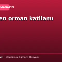 TOKİ’den orman katliamı itirafı