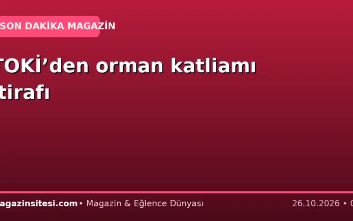 TOKİ’den orman katliamı itirafı