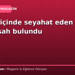 Trenin içinde seyahat eden 30 timsah bulundu