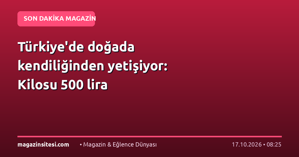 Türkiye’de doğada kendiliğinden yetişiyor: Kilosu 500 lira
