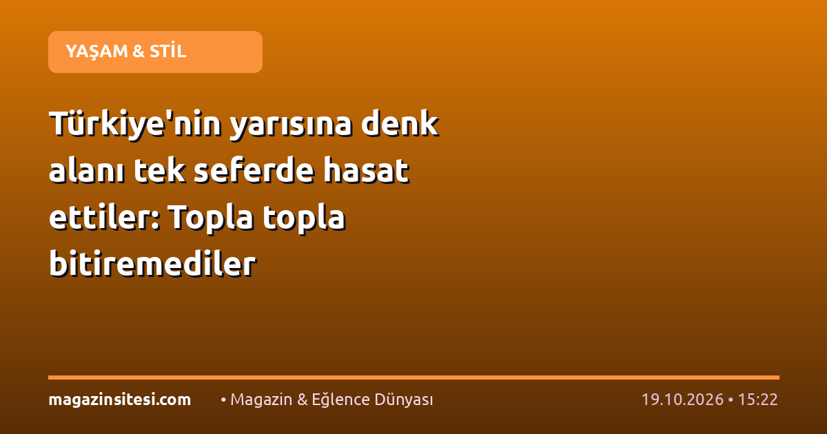Türkiye’nin yarısına denk alanı tek seferde hasat ettiler: Topla topla bitiremediler