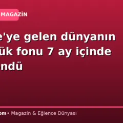 Türkiye’ye gelen dünyanın en büyük fonu 7 ay içinde geri döndü
