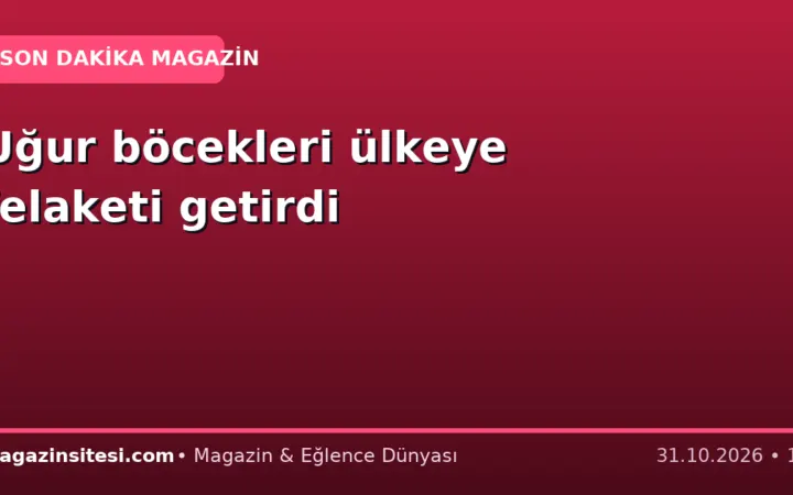 Uğur böcekleri ülkeye felaketi getirdi