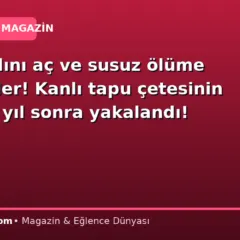 Yaşlı kadını aç ve susuz ölüme terk ettiler! Kanlı tapu çetesinin lideri 13 yıl sonra yakalandı!