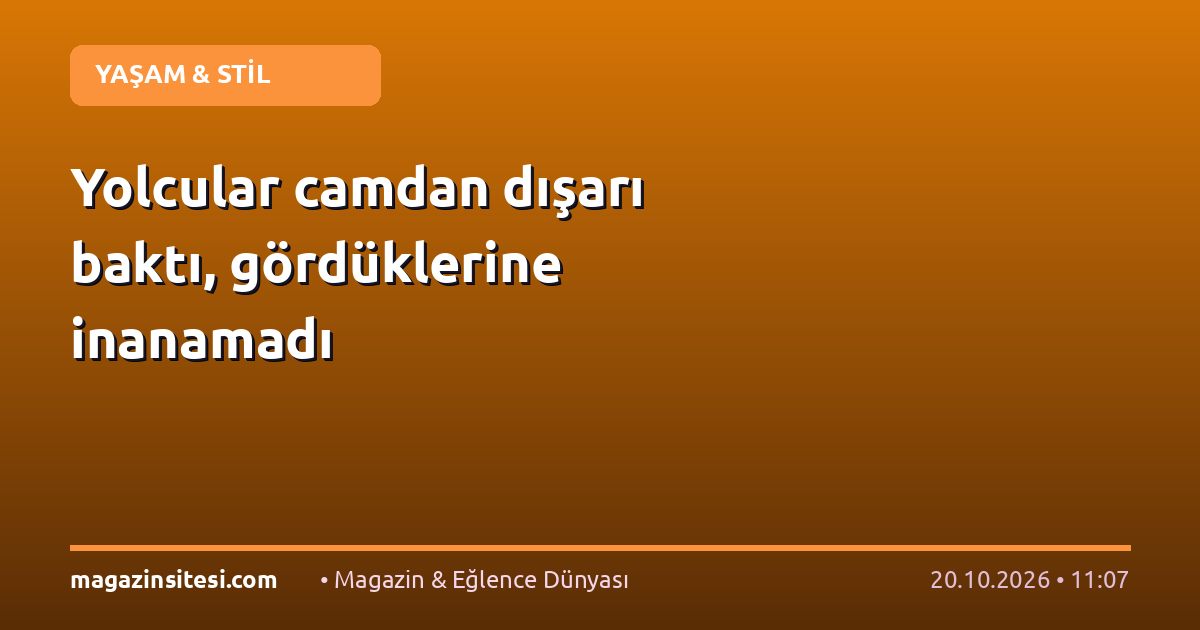 Yolcular camdan dışarı baktı, gördüklerine inanamadı