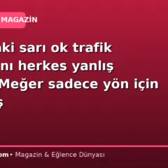 Yollardaki sarı ok trafik tabelasını herkes yanlış biliyor: Meğer sadece yön için değilmiş