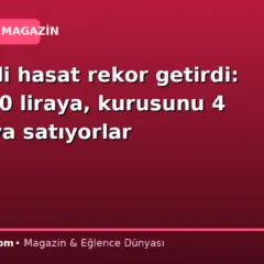 Zahmetli hasat rekor getirdi: Yaşını 40 liraya, kurusunu 4 bin liraya satıyorlar