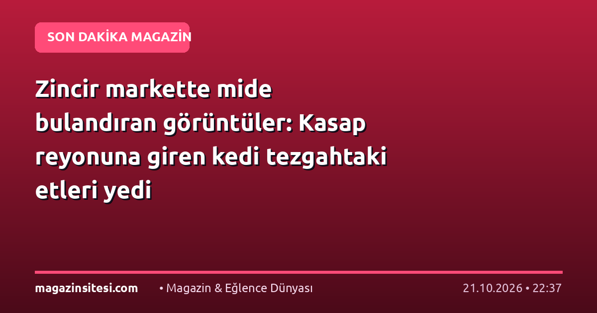 Zincir markette mide bulandıran görüntüler: Kasap reyonuna giren kedi tezgahtaki etleri yedi