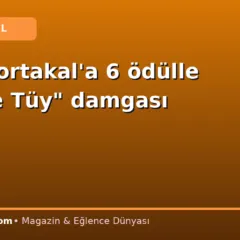 Altın Portakal’a 6 ödülle “Taş ve Tüy” damgası